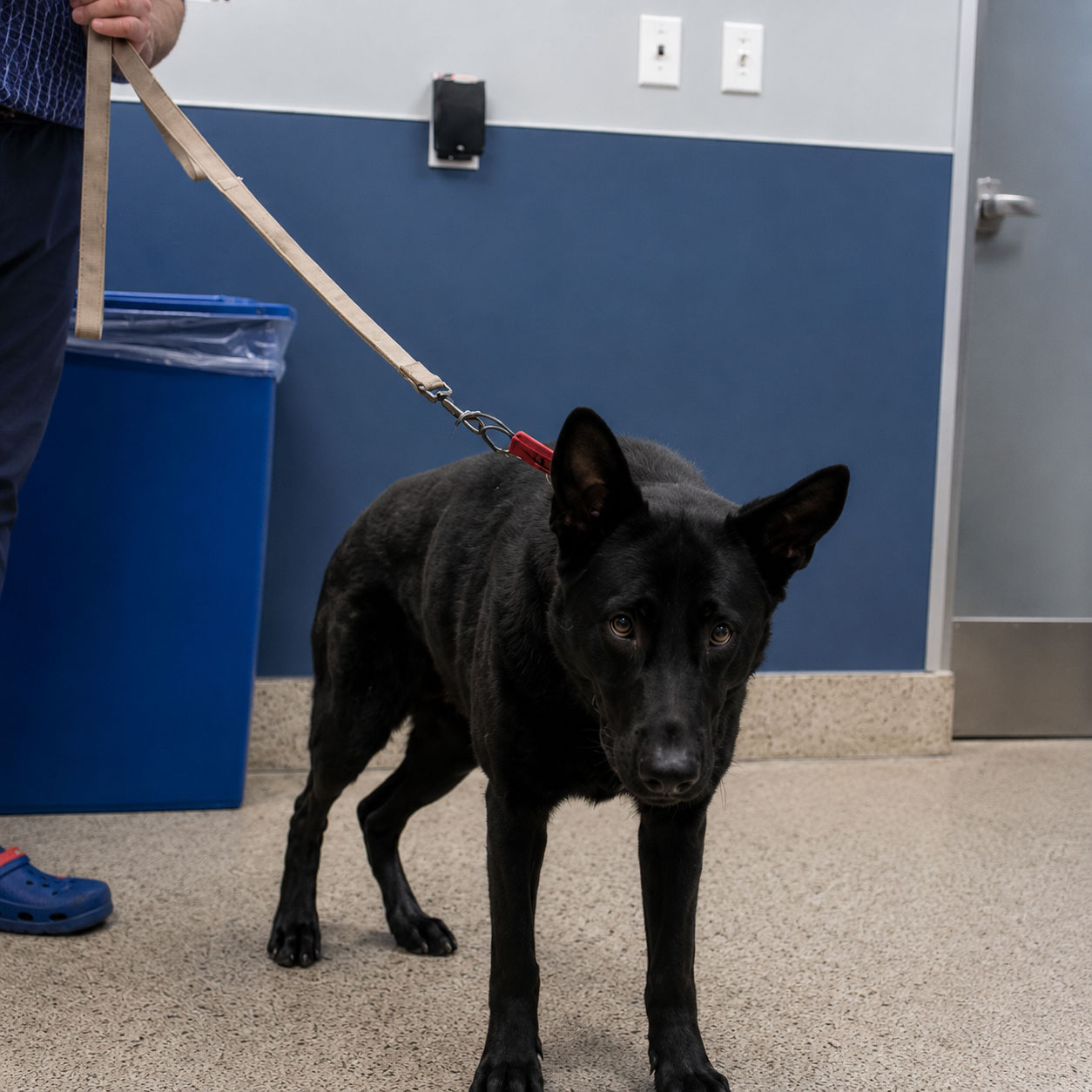 Maverick before rescue progress